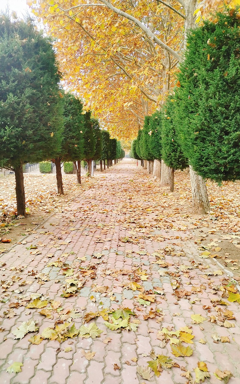 1763013465899012.jpg hyj5.jpg